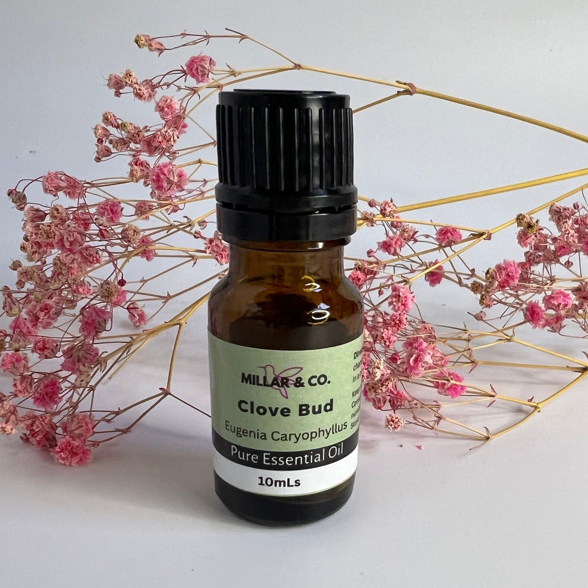Clove Bud Essential Oil 10ml