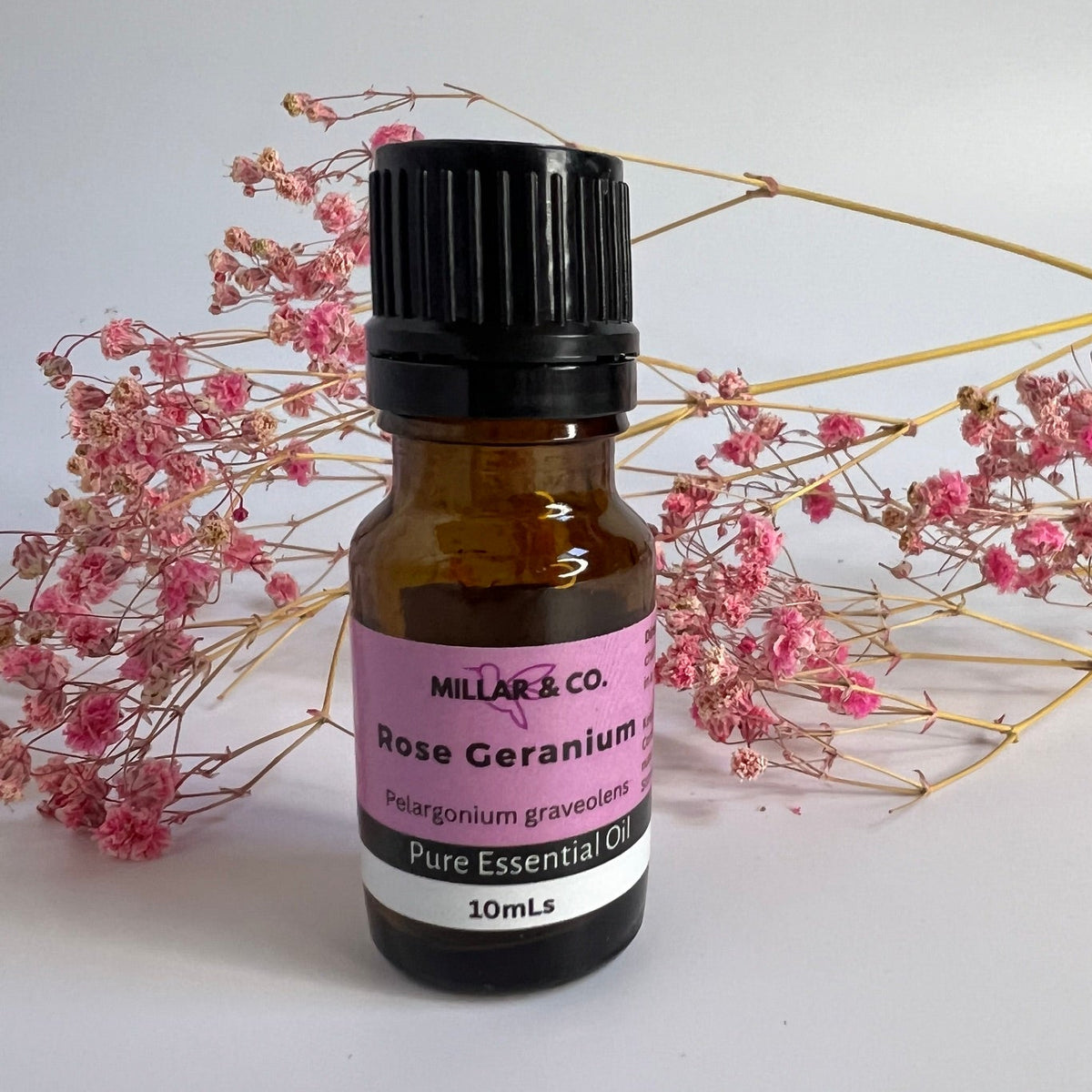 Rose Geranium Essential Oil 10ml